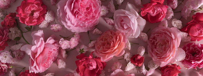 Similar image 21248733