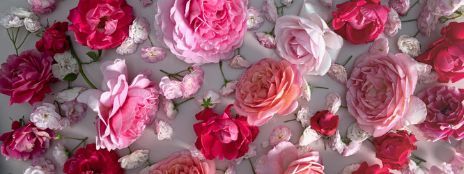 Similar image 21248735