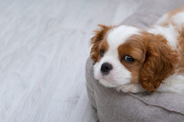 Similar image 21248916