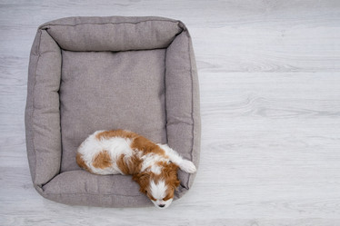 Similar image 21248920