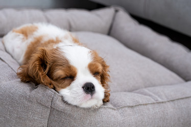 Similar image 21248922