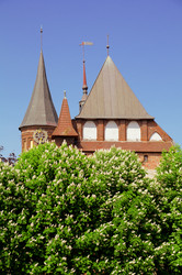 Similar image 21211870