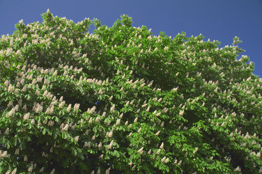 Similar image 21211875