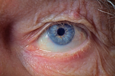 Similar image 21211950