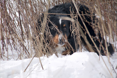 Similar image 21212089