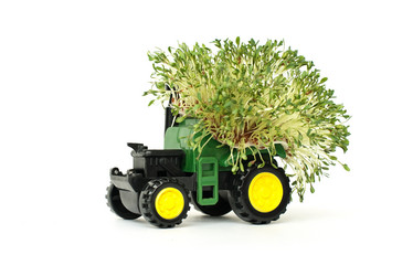 Similar image 21206868