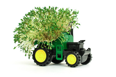 Similar image 21206871