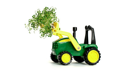 Similar image 21206876