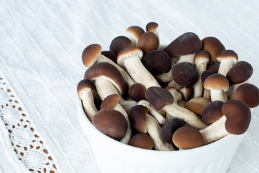 Similar image 21220720