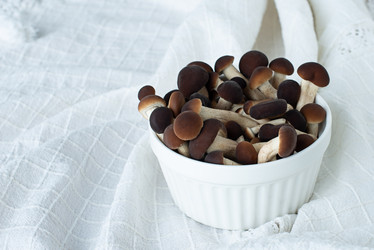 Similar image 21220723