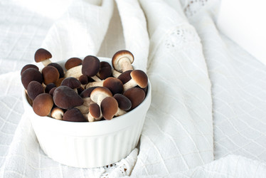 Similar image 21232306