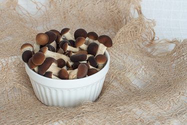 Similar image 21232309