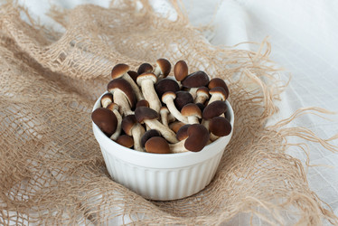 Similar image 21232310