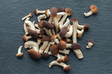 Similar image 21232311