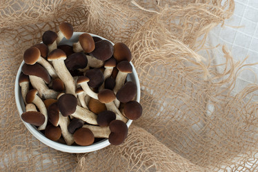 Similar image 21232312