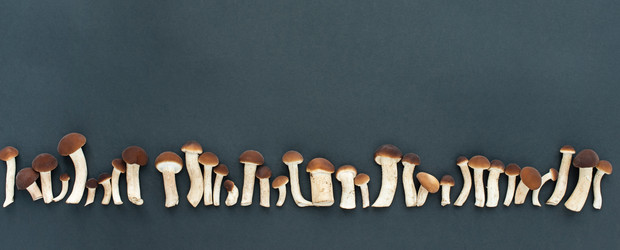 Similar image 21232313