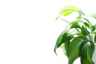 Similar image 21232657