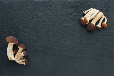 Similar image 21232658