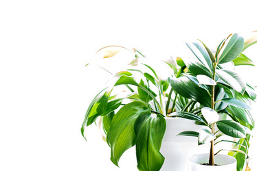 Similar image 21232659