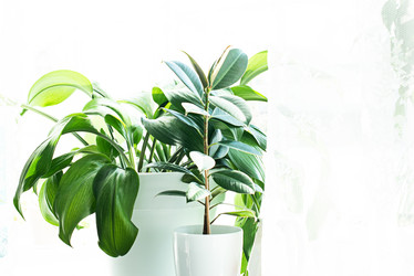 Similar image 21232661