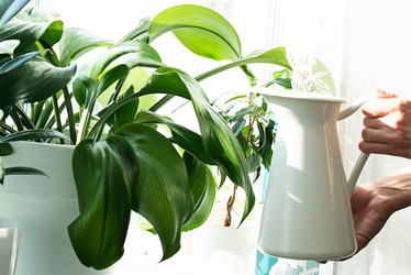 Similar image 21232668