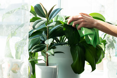 Similar image 21232670