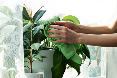 Similar image 21249114