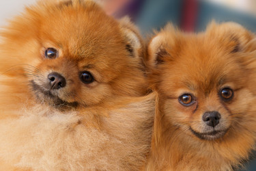 Similar image 21212091