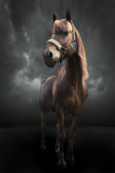 Similar image 21212097