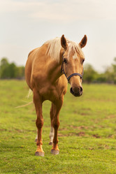 Similar image 21224145