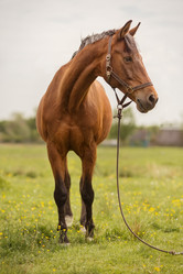 Similar image 21244047