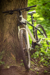 Similar image 21244051