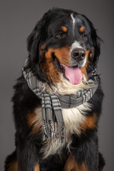 Similar image 21256343