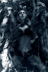 Similar image 21244059