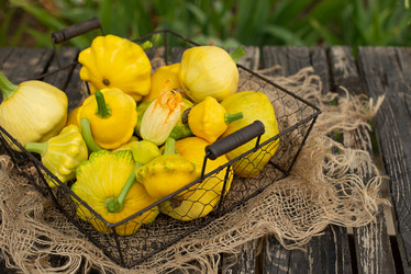 Similar image 21232337