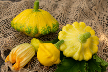 Similar image 21232674