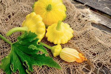 Similar image 21232680