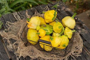 Similar image 21232695