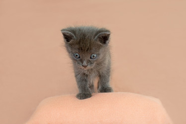 Similar image 21232697