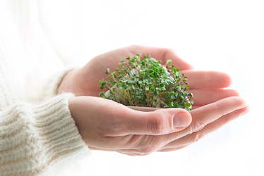 Similar image 21206882