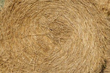 Similar image 21245823