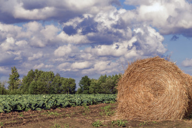 Similar image 21246059