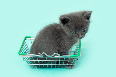 Similar image 21232712