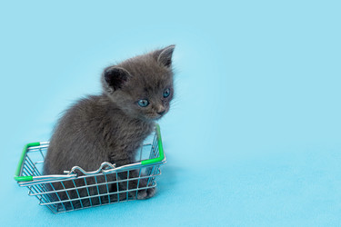 Similar image 21232717