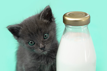 Similar image 21232720