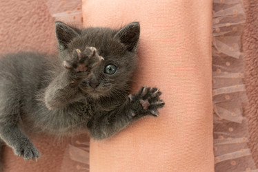 Similar image 21232723