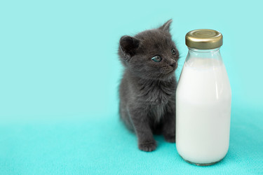 Similar image 21232724