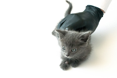 Similar image 21232725