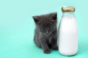 Similar image 21232726