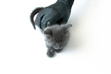 Similar image 21232729